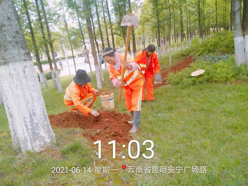 市政管養一體化-玉龍環保3