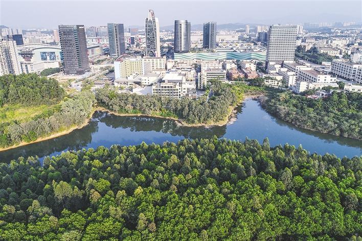 平湖街道全景圖